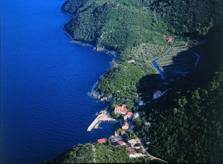 Polly Apartments With Swimming Pool Babino Polje 外观 照片
